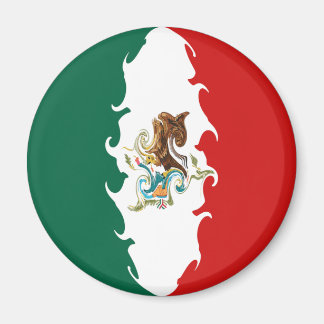 Mexico Gnarly Flag Magnet