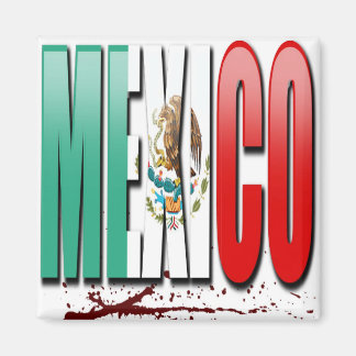 mexico magnet