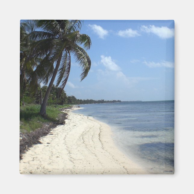 Mexico Magnet (Front)