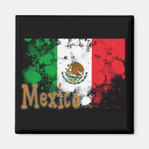 Mexico Magnet