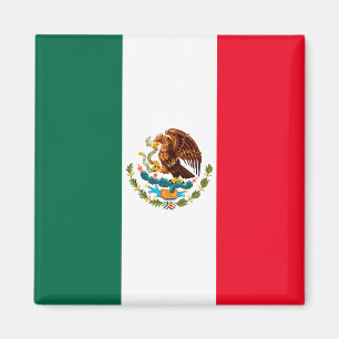 Mexico Magnet