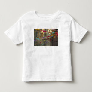 Mexico, Oaxaca, Templo de San Felipe de Neri Toddler T-Shirt