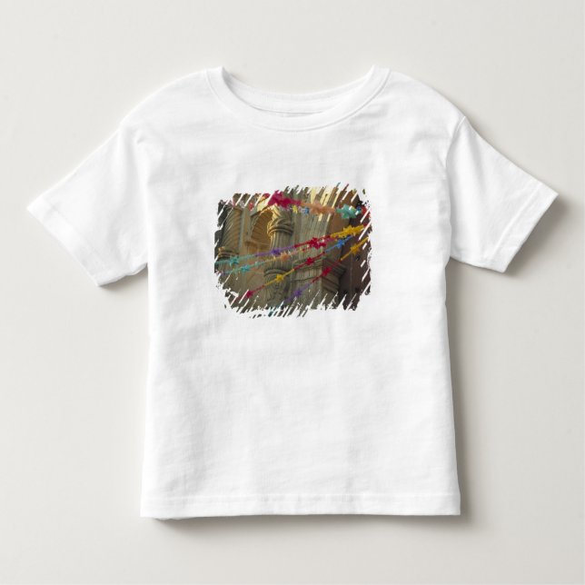 Mexico, Oaxaca, Templo de San Felipe de Neri Toddler T-Shirt (Front)