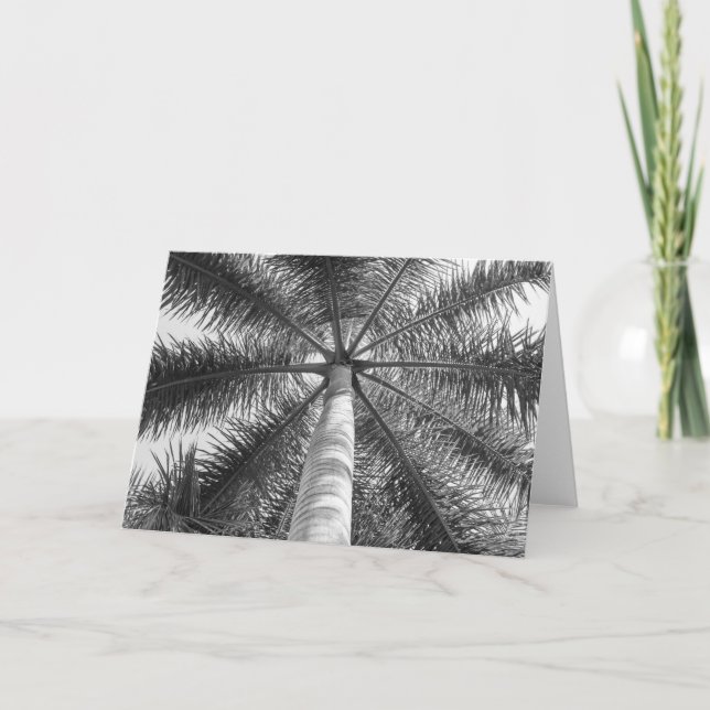Mexico Palm Tree Shade Card (Front)