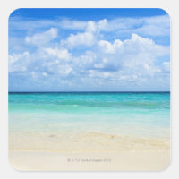 Mexico, Playa Del Carmen, tropical beach