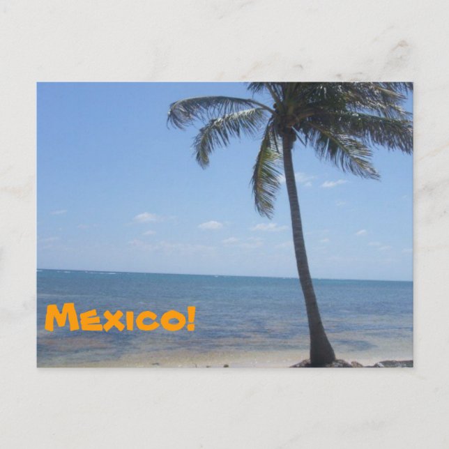 Mexico Postcard (Front)