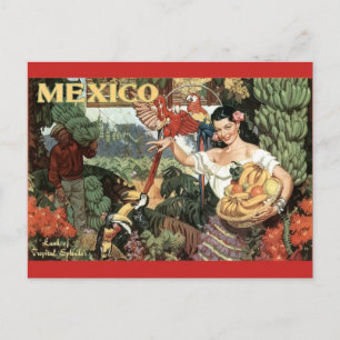 Mexico Postcard