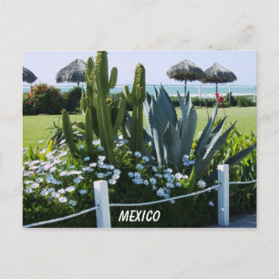 MEXICO POSTCARD