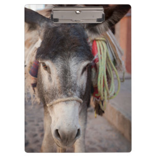 Mexico, San Miguel De Allende 2 Clipboard