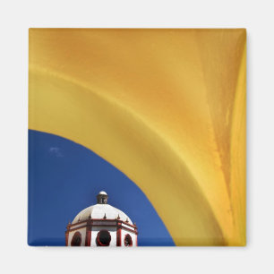 Mexico, San Miguel de Allende. Church framed Magnet