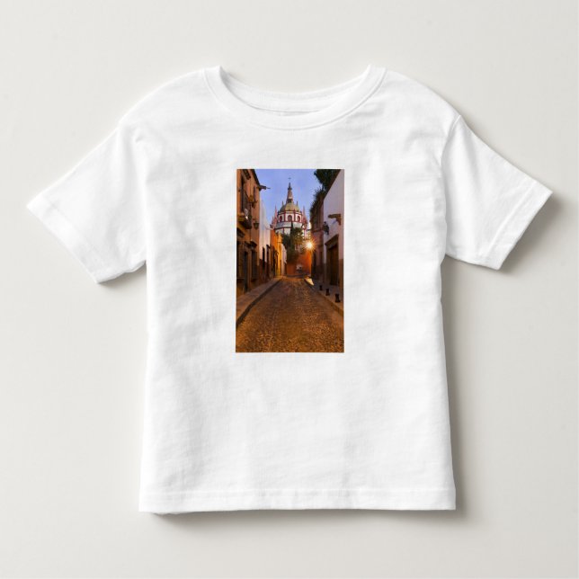 Mexico, San Miguel de Allende. Early morning Toddler T-Shirt (Front)