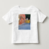 Mexico, San Miguel de Allende, Homes along
