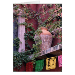 Mexico, San Miguel de Allende, Ivy, clay pot,