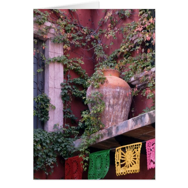 Mexico, San Miguel de Allende, Ivy, clay pot, (Front)