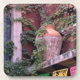 Mexico, San Miguel de Allende, Ivy, clay pot, Coaster