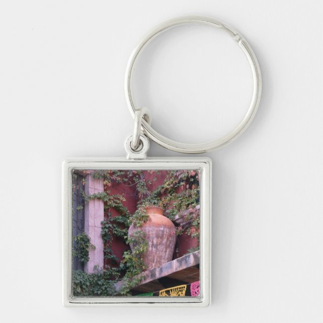 Mexico, San Miguel de Allende, Ivy, clay pot, Key Ring (Front)