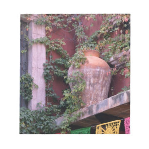 Mexico, San Miguel de Allende, Ivy, clay pot, Notepad