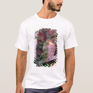 Mexico, San Miguel de Allende, Ivy, clay pot, T-Shirt