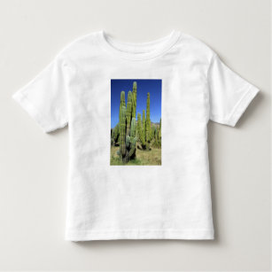 Mexico, Sonora, San Carlos. Saguaro & Organ Pipe Toddler T-Shirt