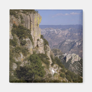 Mexico, State of Chihuahua, Copper Canyon. THIS 2 Magnet