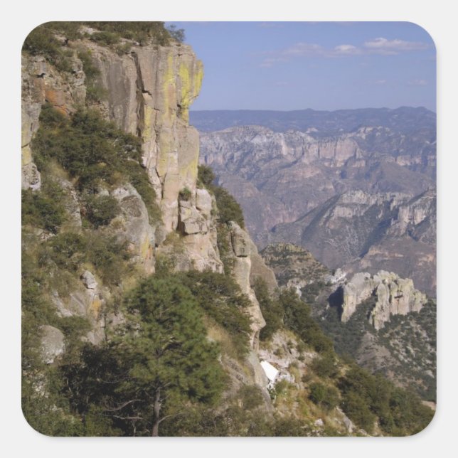 Mexico, State of Chihuahua, Copper Canyon. THIS 2 Square Sticker (Front)