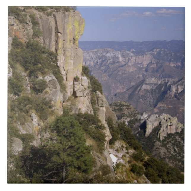 Mexico, State of Chihuahua, Copper Canyon. THIS 2 Tile (Front)