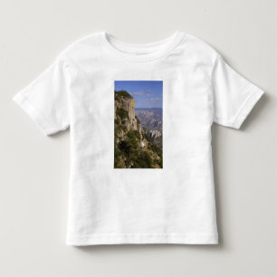 Mexico, State of Chihuahua, Copper Canyon. THIS 2 Toddler T-Shirt