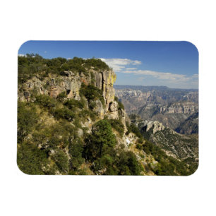 Mexico, State of Chihuahua, Copper Canyon. THIS Magnet