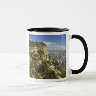 Mexico, State of Chihuahua, Copper Canyon. THIS Mug