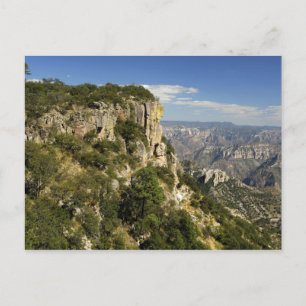 Mexico, State of Chihuahua, Copper Canyon. THIS Postcard