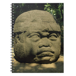 Mexico, Villahermosa, giant Olmec head, La Venta Notebook