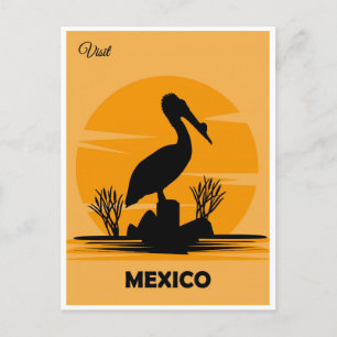 Mexico Vintage Mexican Pelican Travel  Postcard