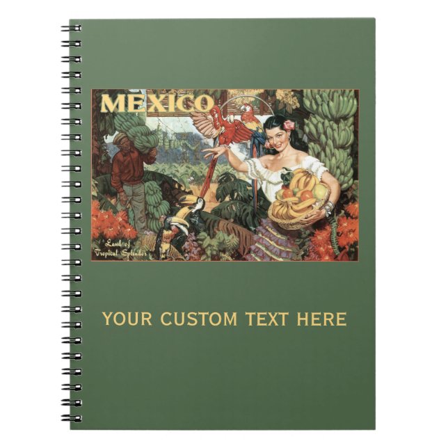 Mexico vintage travel notebook (Front)
