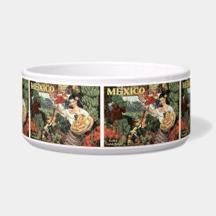 Mexico vintage travel pet bowls