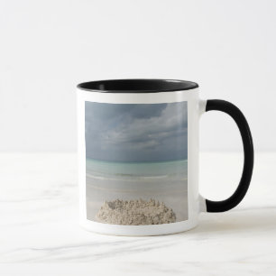 Mexico, Yucatan, Isla Mujeres Island of Mug