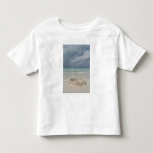 Mexico, Yucatan, Isla Mujeres Island of Toddler T-Shirt