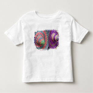 Mexico, Yucatan, Merida, traditional woven Toddler T-Shirt