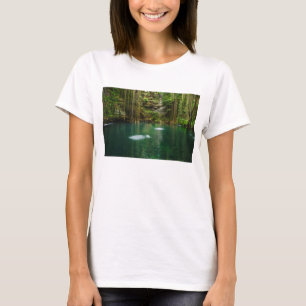 Mexico, Yucatan, Scenic Lake T-Shirt