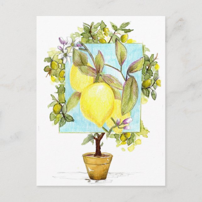 Meyer Lemon Tree Citrus Fruit Garden Postcard (Front)