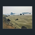 Meyers Beach North, Gold Beach, Oregon Postcard<br><div class="desc">The Meyers Beach North Access Trail is a very short and easy path to the north shore of Meyers Beach, south of Gold Beach, Oregon. If you continue south at Meyers Beach you'll reach the mouth of the Pistol River, but the main attractions are the seastacks and tide pools. There...</div>