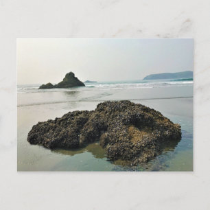 Meyers Beach North, Gold Beach, Oregon Postcard