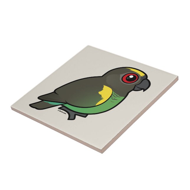 Meyer's Parrot Ceramic Tile (Side)