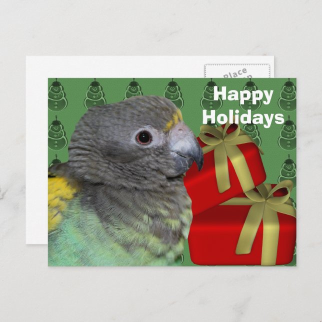 Meyers Parrot Christmas Holiday Postcard (Front/Back)