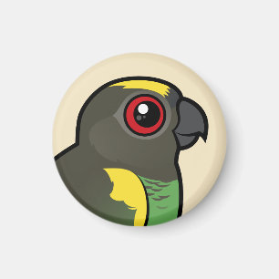 Meyer's Parrot Magnet