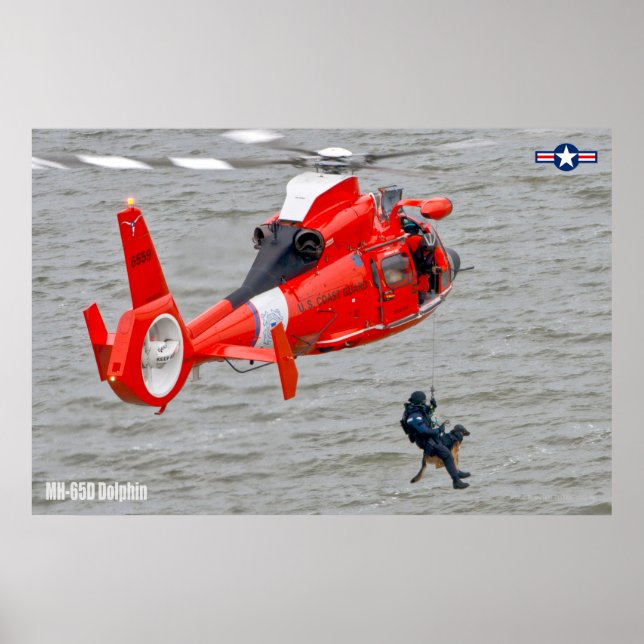 MH-65D DOLPHIN POSTER (Front)