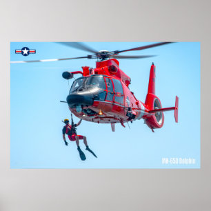 MH-65D DOLPHIN POSTER