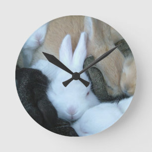 MHRR baby bunny rabbit bunnies clock