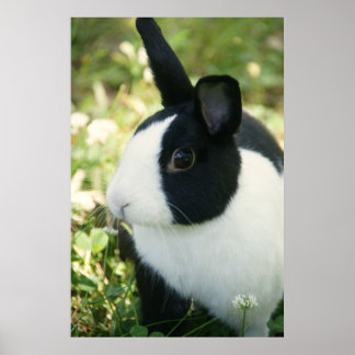 MHRR Dutch black & white bunny rabbit wall poster