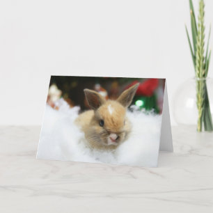 MHRR Honeybadger baby bunny rabbit Christmas card