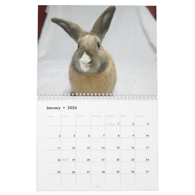 MHRR Honeybadger Bunny Rabbit 12 month calendar (Jan 2026)